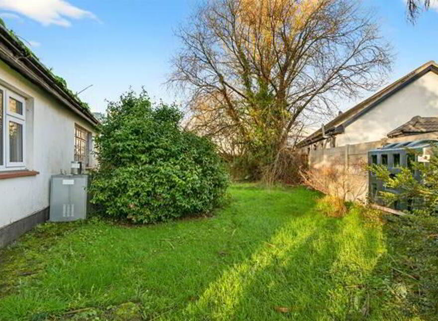 Snowdrop, Kilnagleary, Carrigaline, P43VY04
