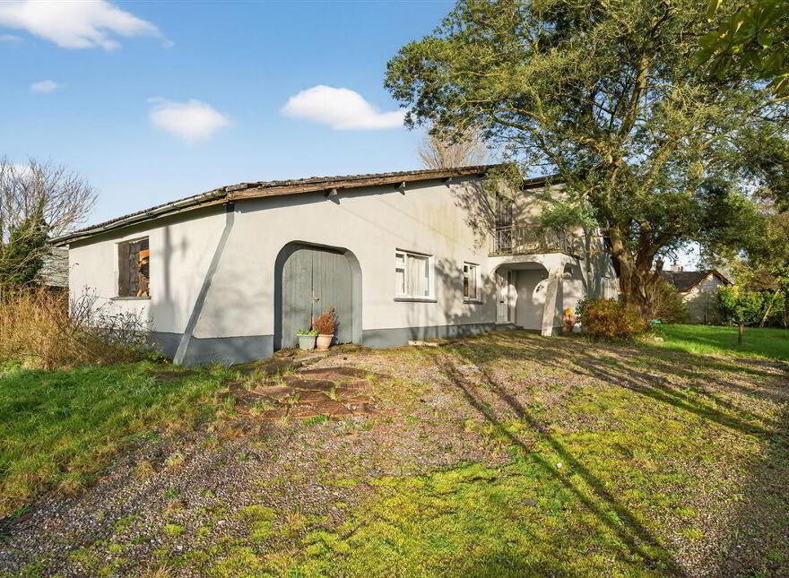 Snowdrop, Kilnagleary, Carrigaline, P43VY04