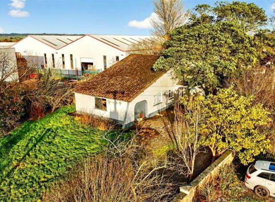 Snowdrop, Kilnagleary, Carrigaline, P43VY04