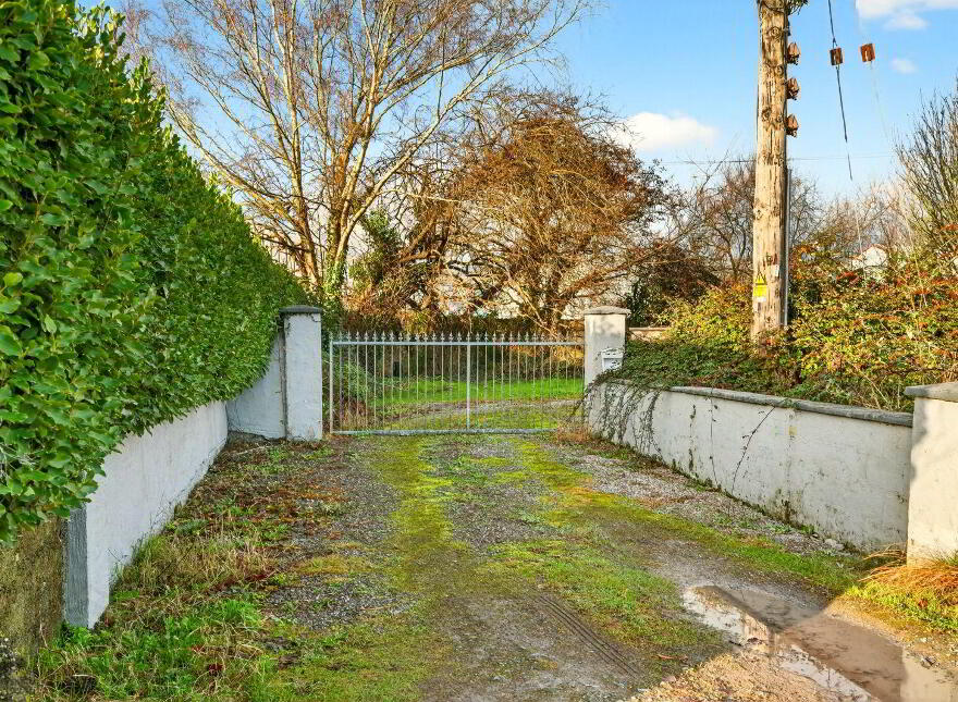 Snowdrop, Kilnagleary, Carrigaline, P43VY04