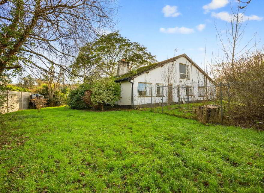 Snowdrop, Kilnagleary, Carrigaline, P43VY04