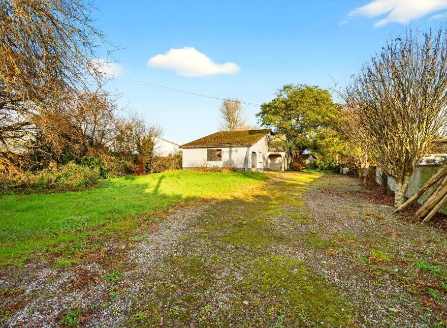 Snowdrop, Kilnagleary, Carrigaline, P43VY04