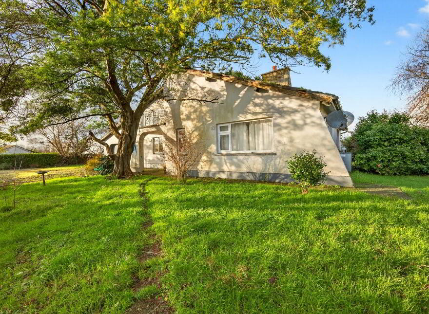 Snowdrop, Kilnagleary, Carrigaline, P43VY04
