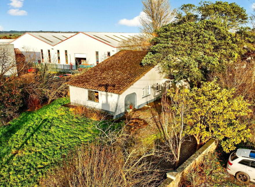 Snowdrop, Kilnagleary, Carrigaline, P43VY04