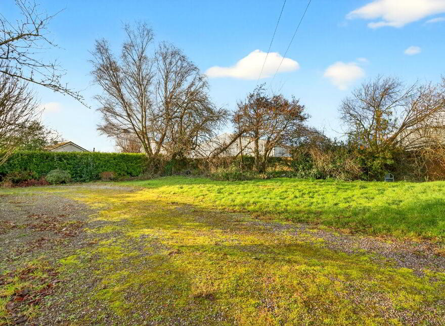 Snowdrop, Kilnagleary, Carrigaline, P43VY04