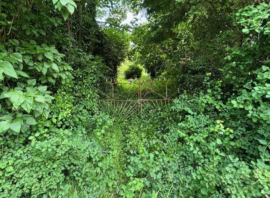Derryvalley, Ballybay