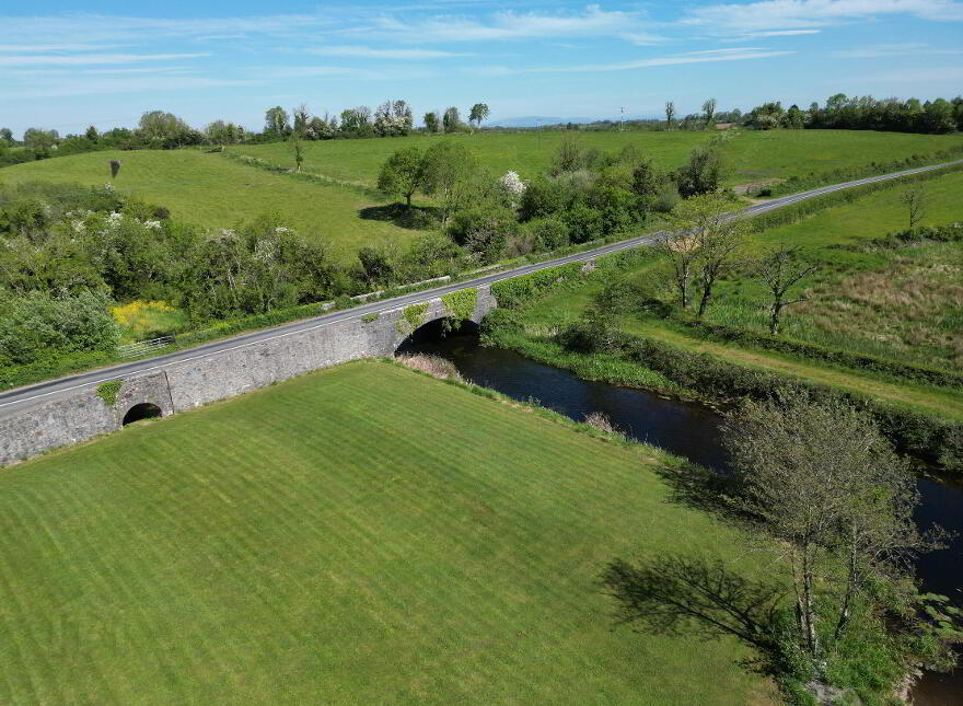 The Silver Eel, Grange, Strokestown, F42F728