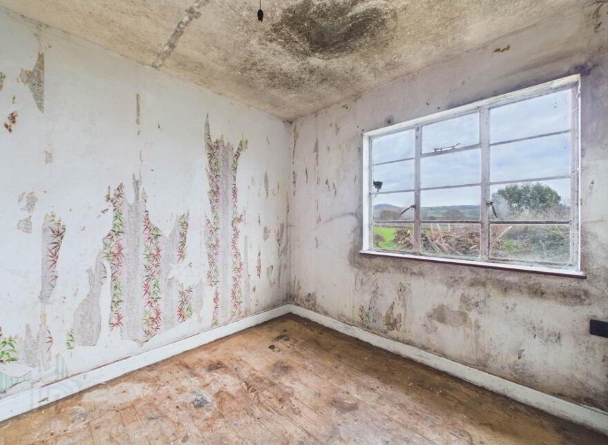Corloughan, Piltown, E32E066
