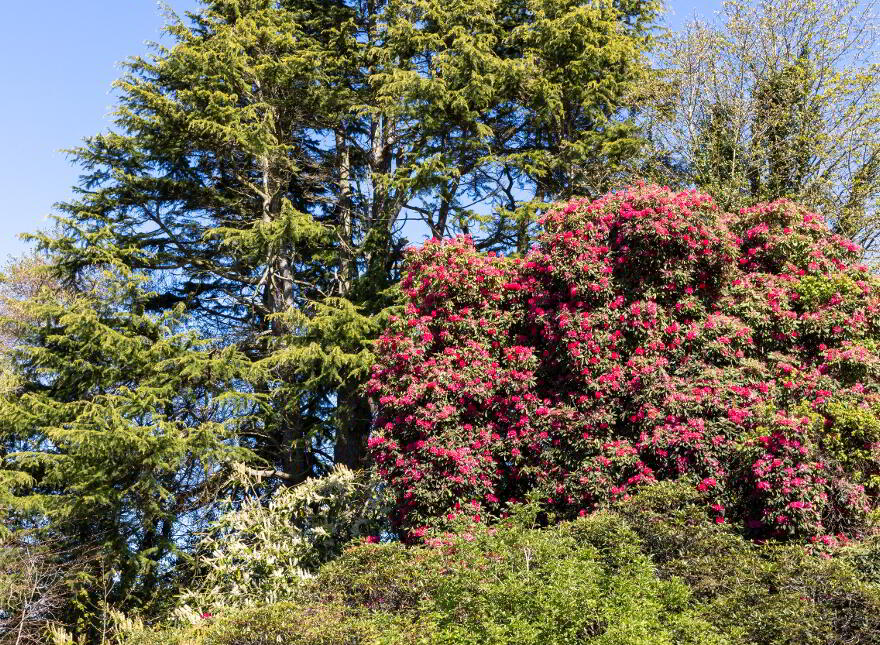 Glenlyon, Victoria Road, Holywood, BT18 9BG