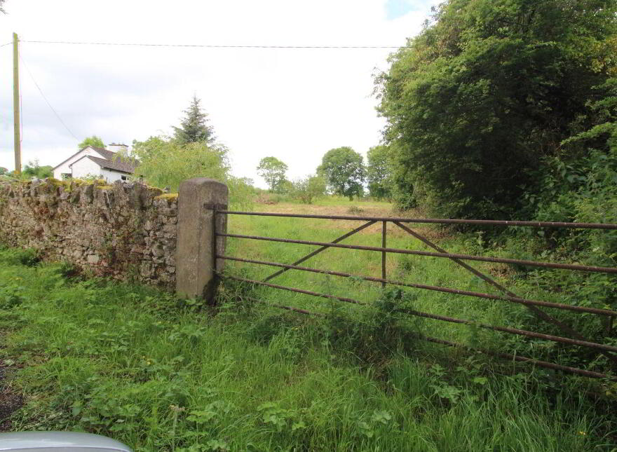 Skaghardgannon, Doneraile photo