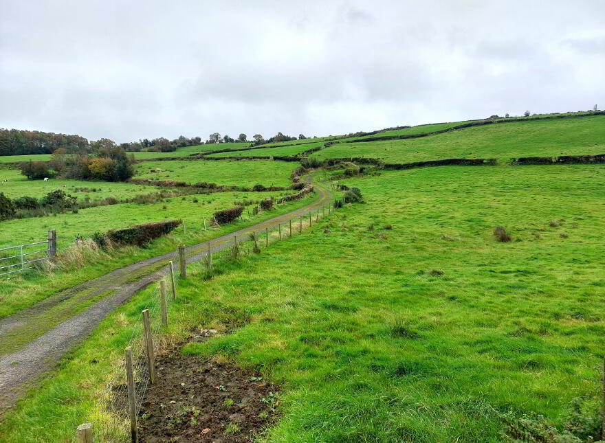 31 Strahulter Road, Newtownstewart, Omagh, BT78 4ED