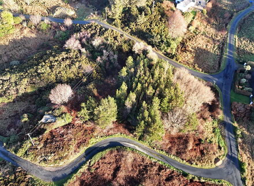 Roshine, Burtonport