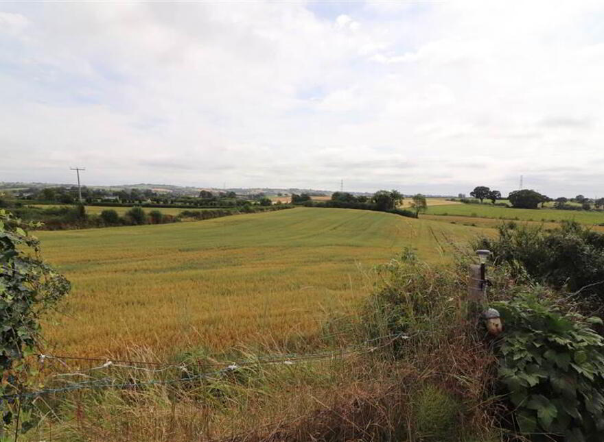 10 Nevins Row, Ballyskeagh, Lisburn, BT27 5TF