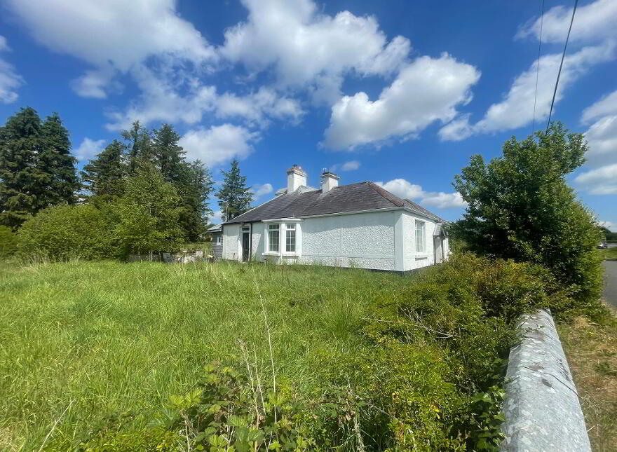 Cloonbonniffe, Castlerea, F45V221
