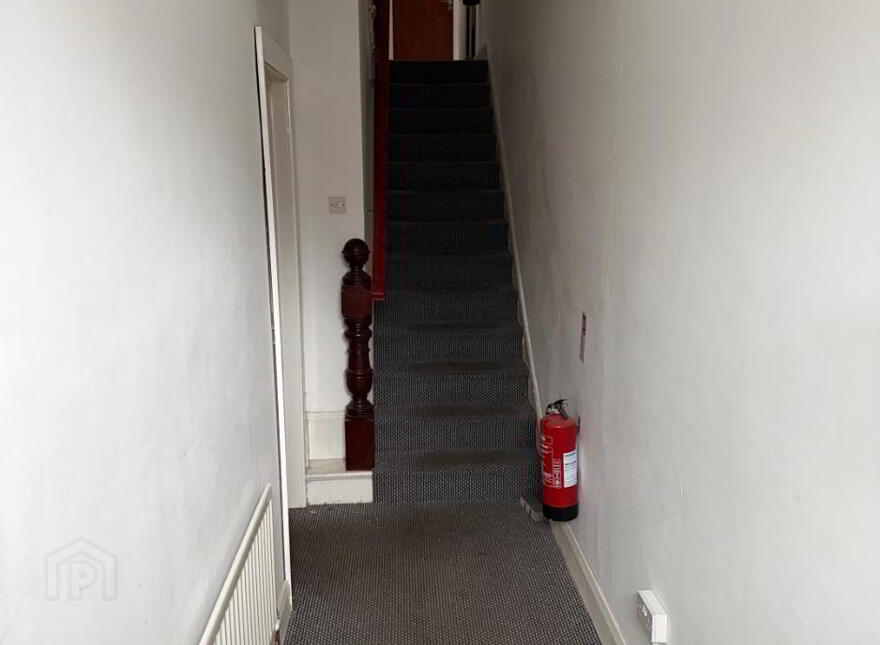 84 University Ave, HMO & CLUD In Place, Belfast, BT7 1GY