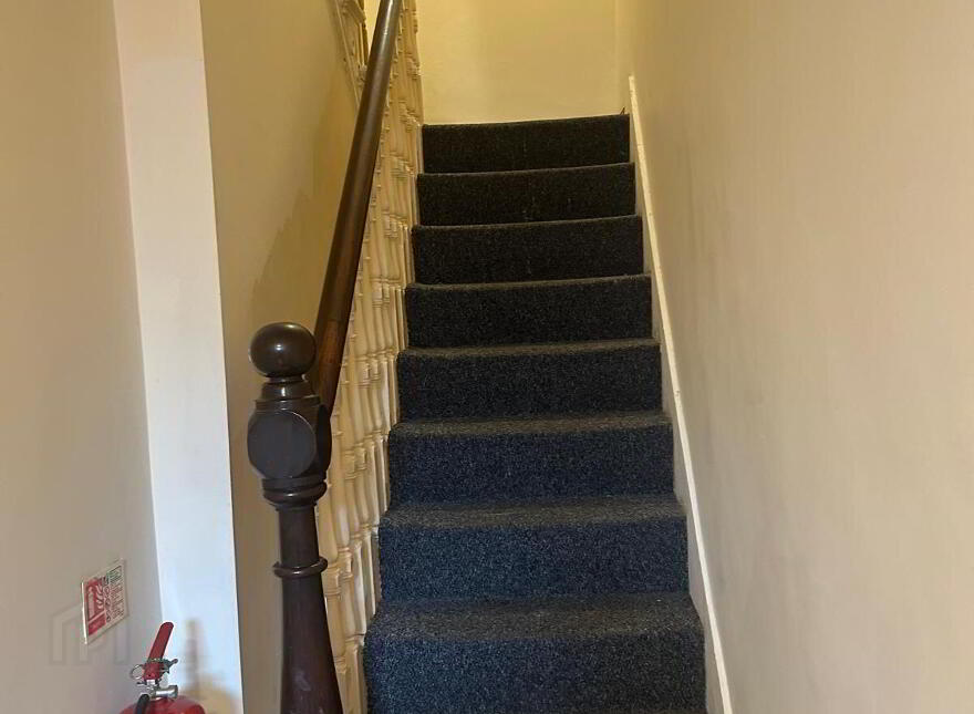 Flat 2, 31 Ashley Avenue, Belfast, BT9 7BT