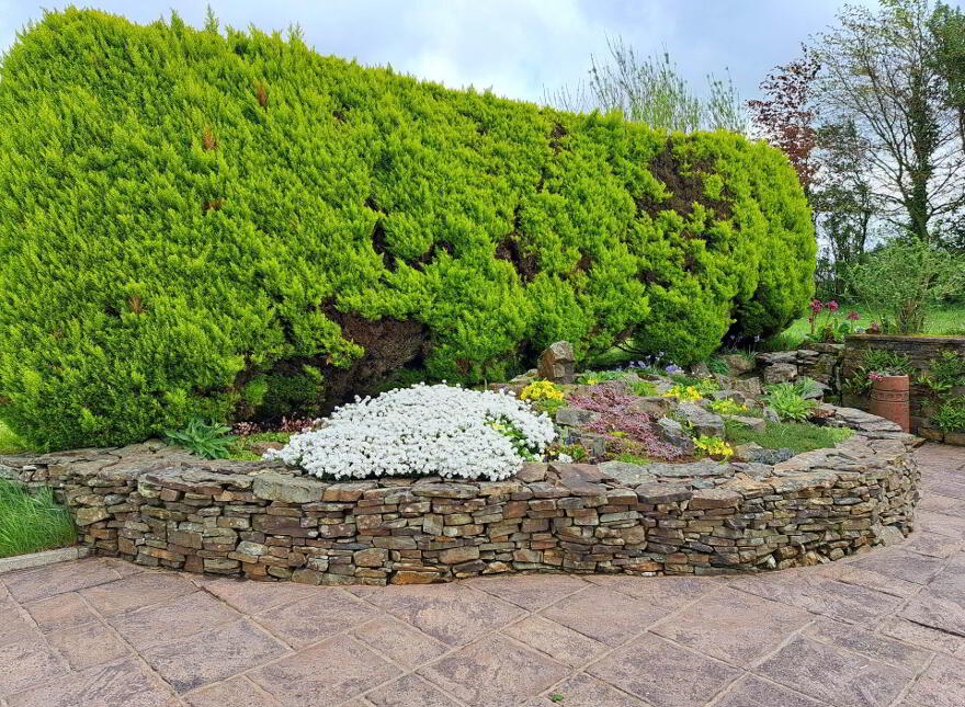 Inchinattin, Rosscarbery, P85D853