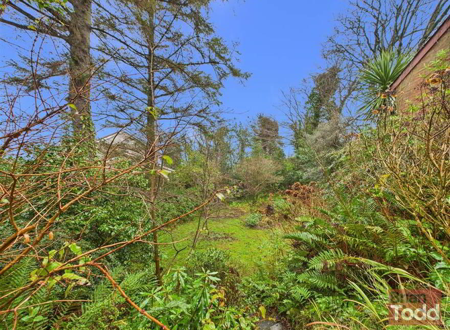 Branch Road, Larne, BT40 1TX