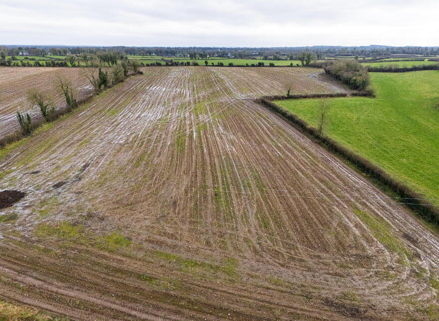 Lands, At Lisnacush, Lanesborough, N39XXXX