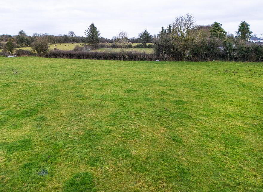 Lands, At Lisnacush, Lanesborough, N39XXXX