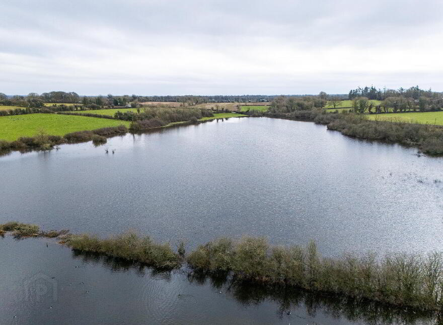 Lands, At Lisnacush, Lanesborough, N39XXXX