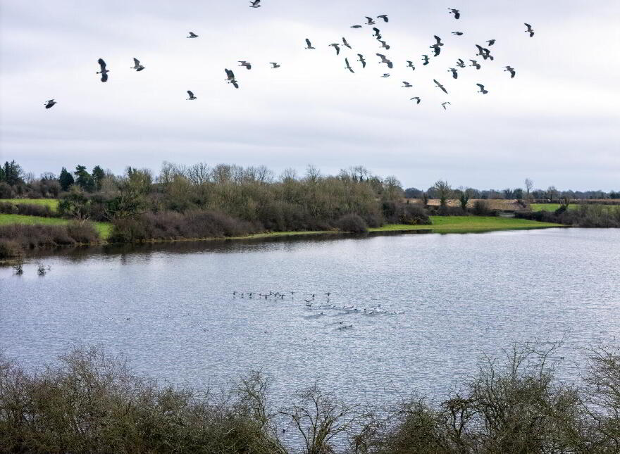 Lands, At Lisnacush, Lanesborough, N39XXXX