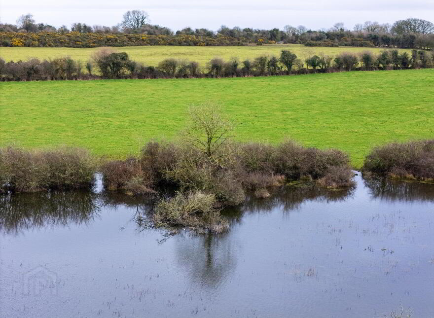 Lands, At Lisnacush, Lanesborough, N39XXXX