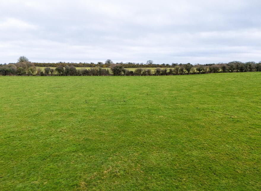 Lands, At Lisnacush, Lanesborough, N39XXXX