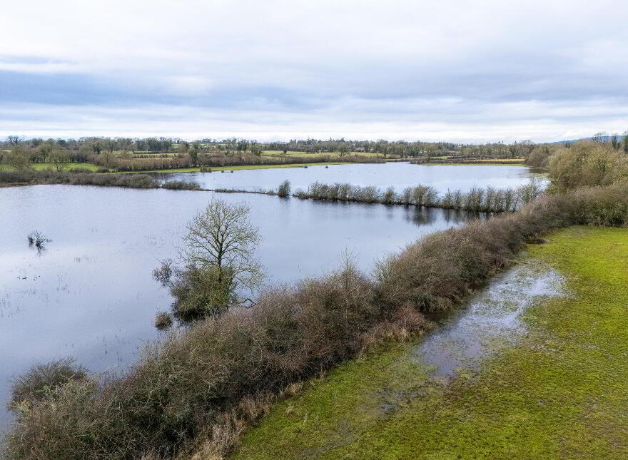 Lands, At Lisnacush, Lanesborough, N39XXXX