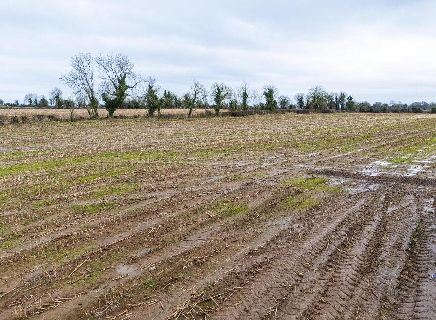 Lands, At Lisnacush, Lanesborough, N39XXXX