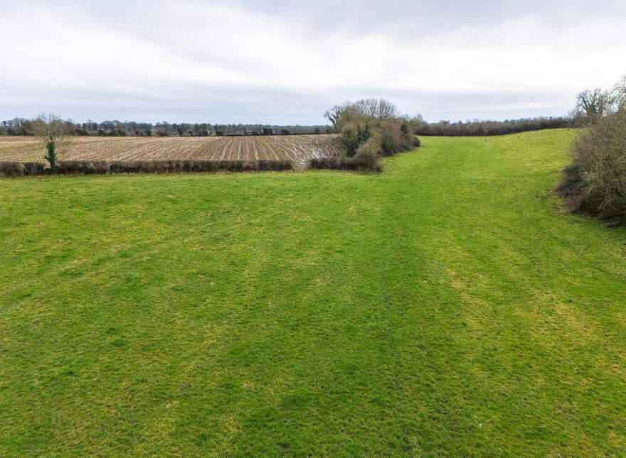 Lands, At Lisnacush, Lanesborough, N39XXXX