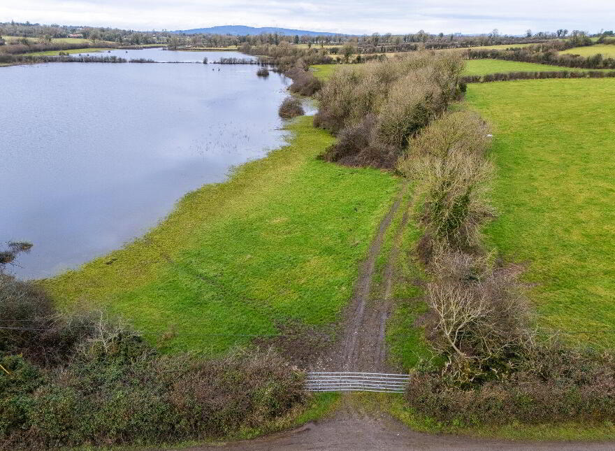Lands, At Lisnacush, Lanesborough, N39XXXX
