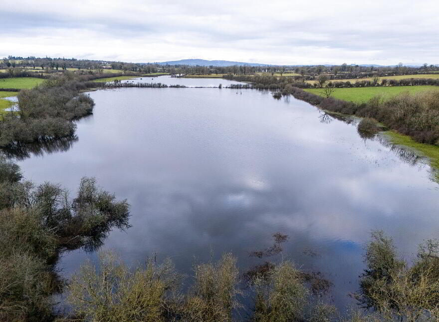 Lands, At Lisnacush, Lanesborough, N39XXXX