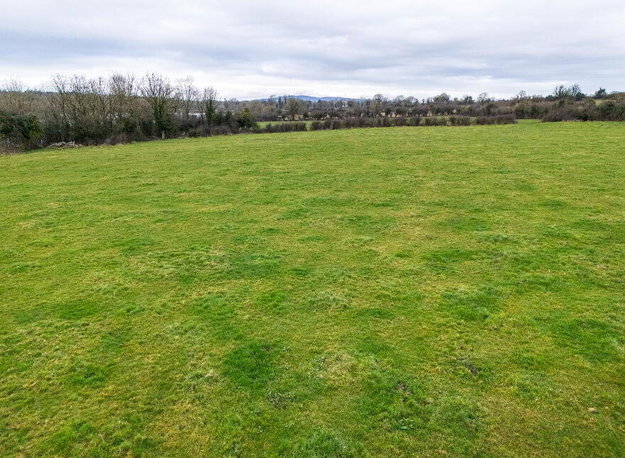 Lands, At Lisnacush, Lanesborough, N39XXXX