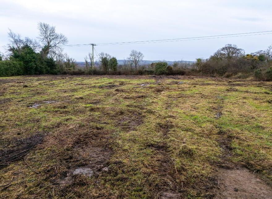 Site At, Ballymakeegan, Folio Ld1361f, Longford Town, N39XXXX
