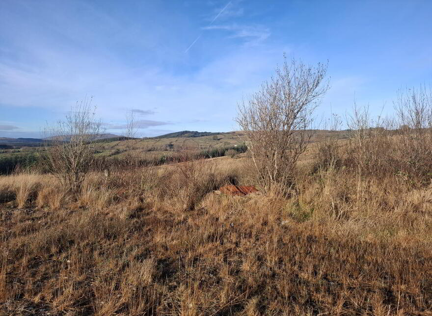 Gowlan, Blacklion