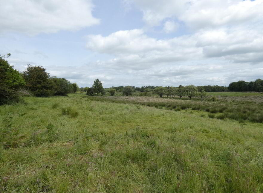Lands East Of, 25 Gortmacrane, Kilrea, BT51 5XX