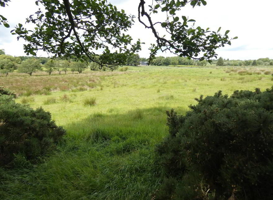 Lands East Of, 25 Gortmacrane, Kilrea, BT51 5XX