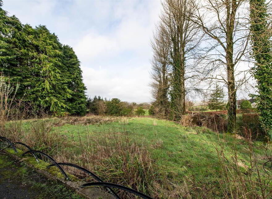 12 Edenavaddy Road, Ballynahinch, BT24 8JJ