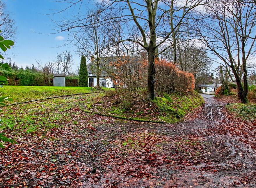 20 Dromona Lane, Cullybackey, Ballymena, BT42 1NT