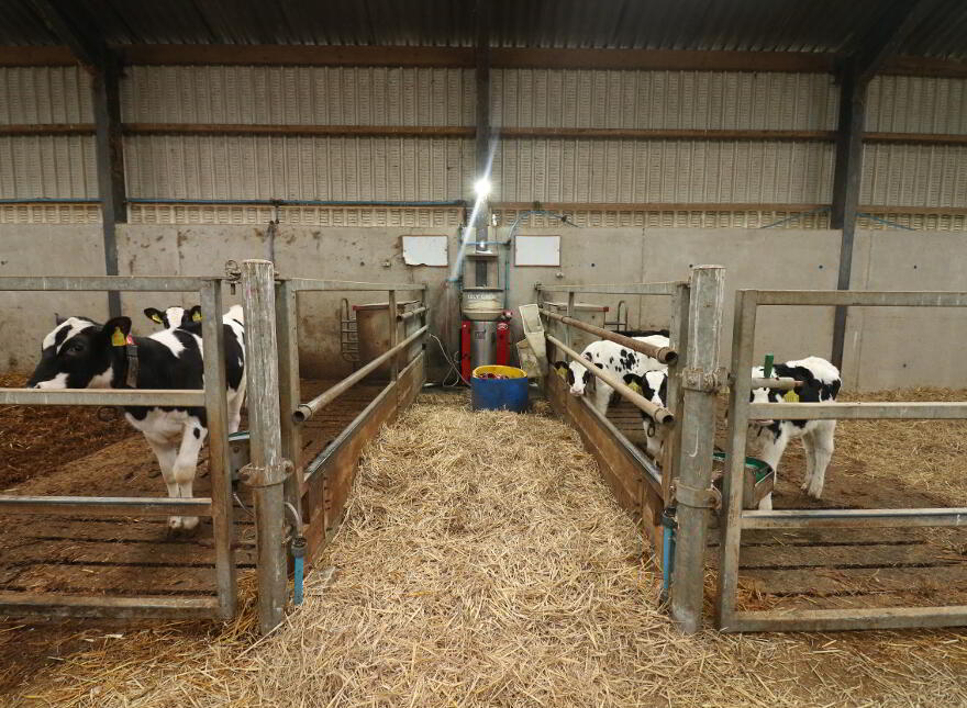 Bunnahone, 78 Churchill Road, Derrygonnelly, BT93 6BP