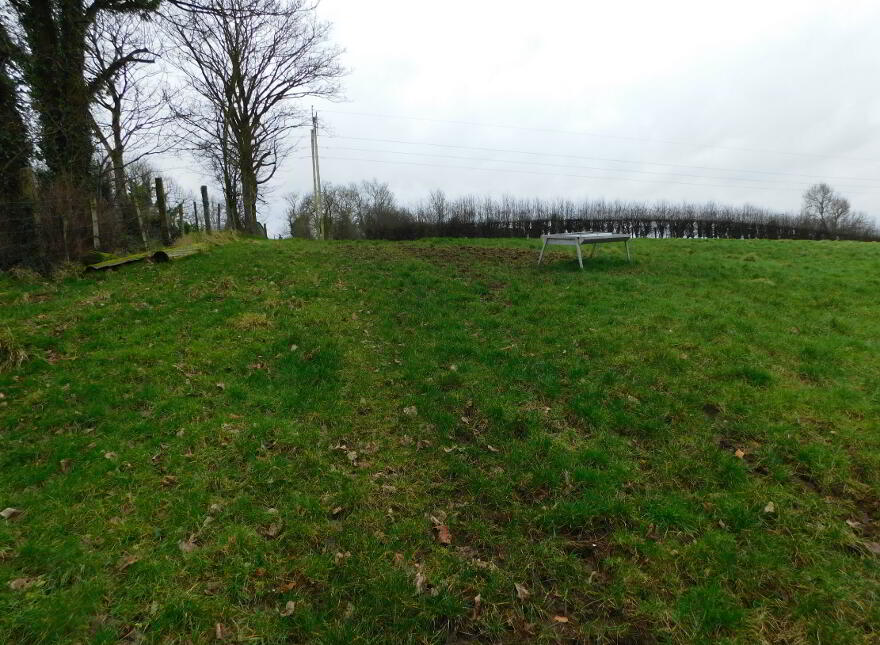 25 Woodbank Road, Omagh, BT79 0NB