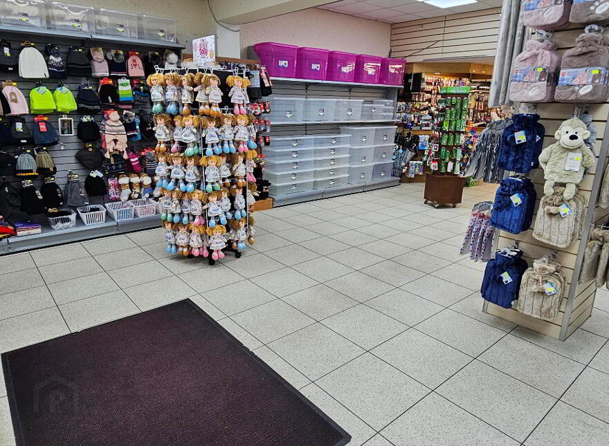 Quidsworth, Bridge Street, Carrick-On-Shannon, N41R9W4
