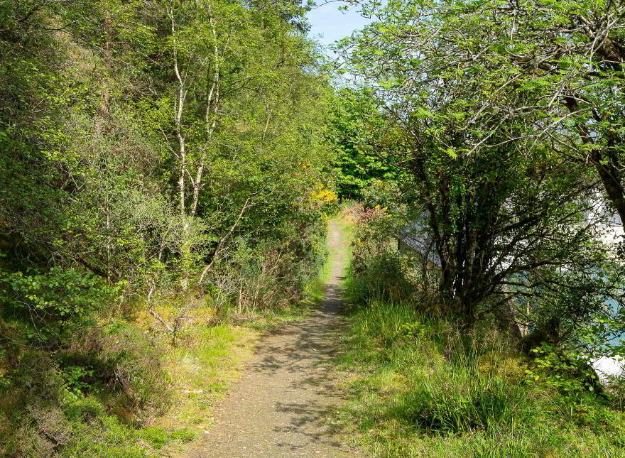 Ards Forest Cottage, Ards, Creeslough, Letterkenny, F92YF74