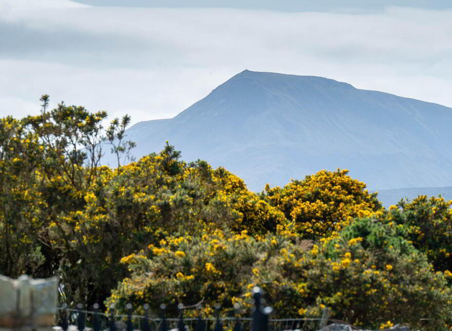 Ards Forest Cottage, Ards, Creeslough, Letterkenny, F92YF74