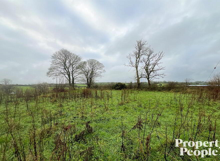 Redevelopment Opportunity, 27 Shot Lane, Waringsford, Dromara, Dromore, BT25 2PE