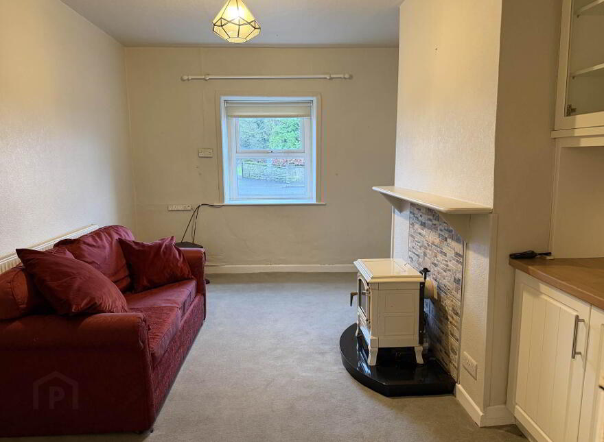 Shady Pines, Derrin, Borris In Ossory, R32K5W5