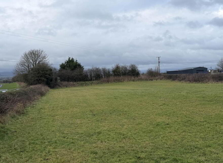 Shady Pines, Derrin, Borris In Ossory, R32K5W5