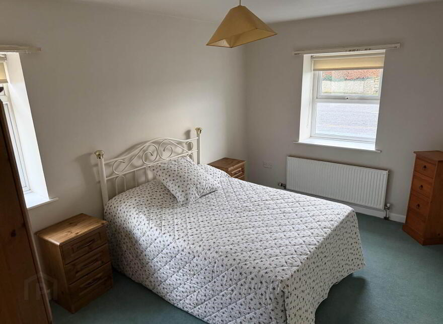 Shady Pines, Derrin, Borris In Ossory, R32K5W5