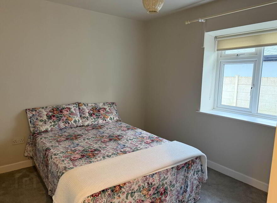 Shady Pines, Derrin, Borris In Ossory, R32K5W5